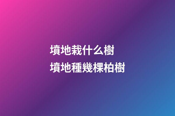 墳地栽什么樹 墳地種幾棵柏樹